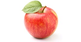 Der Apfel fällt nicht weit vom Baum