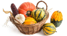Kürbisse – Rezepte und sparsame Ideen rund um Halloween