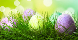 Ostern festlich feiern mit wenig Geld - Teil 1
